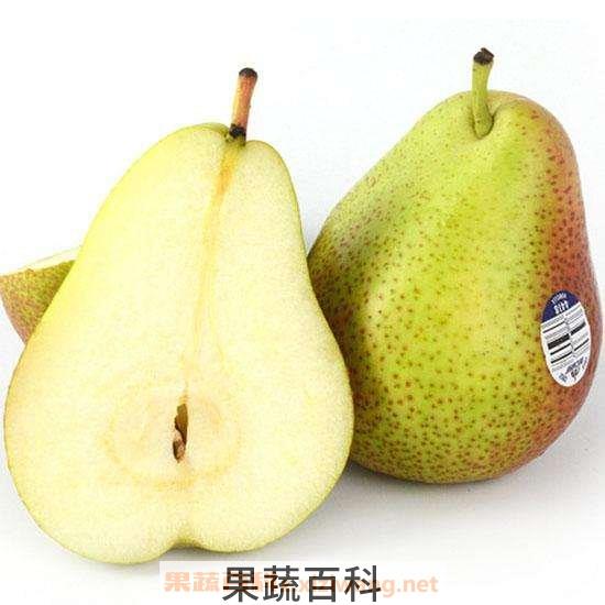啤梨