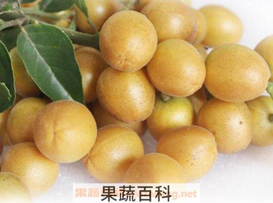 黄皮