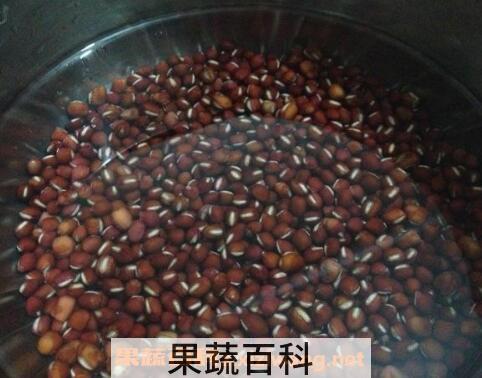 糯米泡多久可以包粽子 包粽子的红豆要泡多久