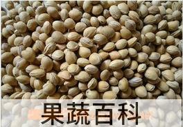 果蔬百科樱桃核