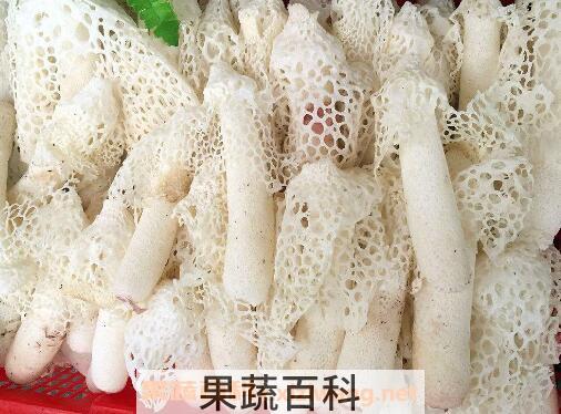 竹荪的功效与作用 竹荪怎么吃