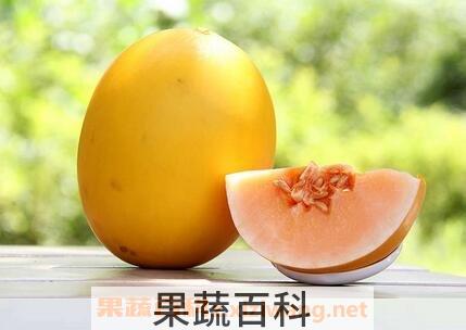 哈密瓜伊丽莎白的功效与作用