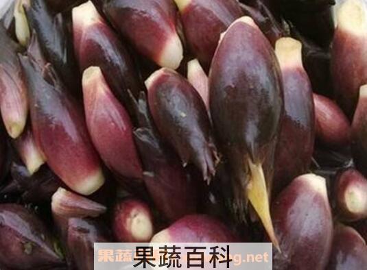 洋火姜功效与作用 洋火姜对人的副作用