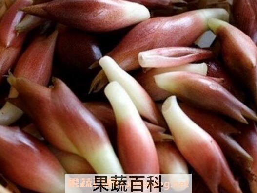 洋火姜功效与作用 洋火姜对人的副作用