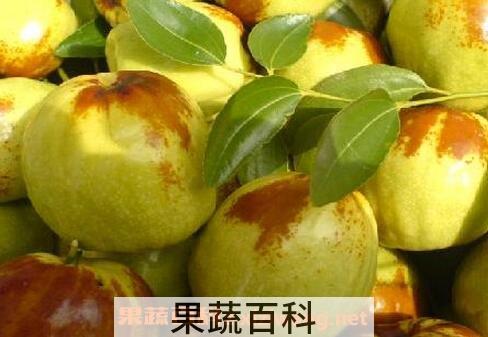 广枣的功效与作用及禁忌