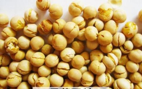 鹰嘴豆的功效与作用 鹰嘴豆的副作用