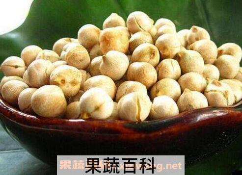 鹰嘴豆的功效与作用 鹰嘴豆的副作用