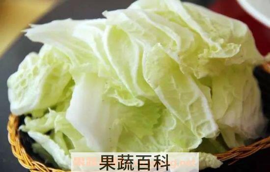 白菜的营养价值