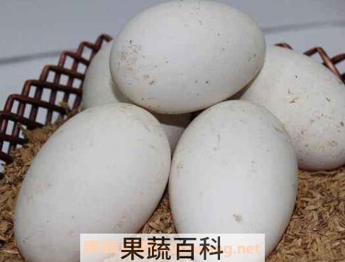鹅蛋不能和什么一起吃 鹅蛋的吃法禁忌