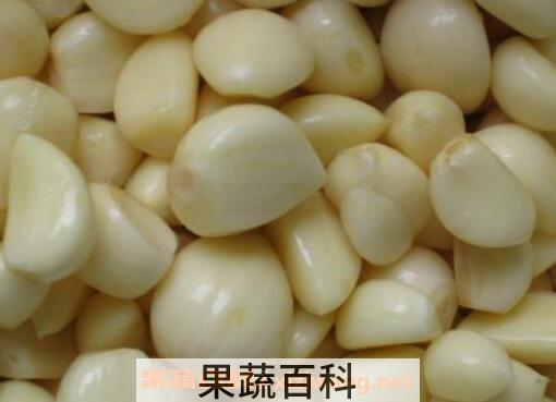 去皮蒜如何存放 剥了皮的蒜瓣怎么保存