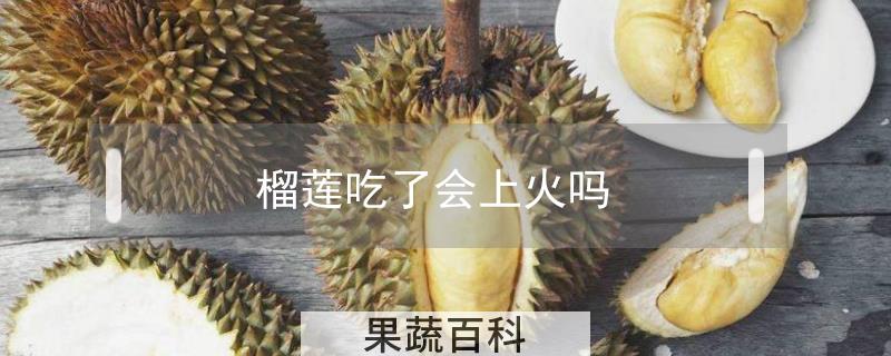 榴莲吃了会上火吗