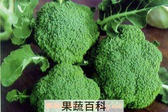 花椰菜营养价值