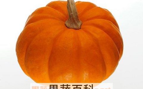 南瓜的功效与作用以及营养 南瓜的作用和营养价值