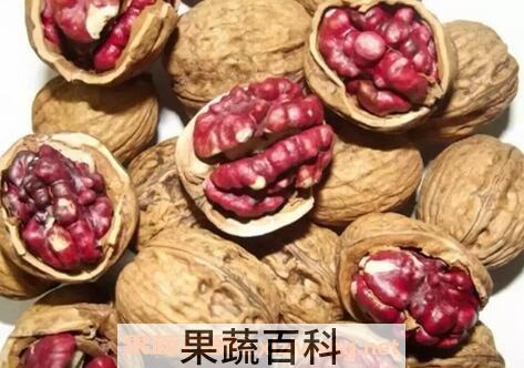 红心核桃的营养价值