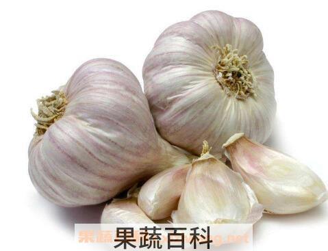 吃大蒜的好处有哪些 吃大蒜的禁忌
