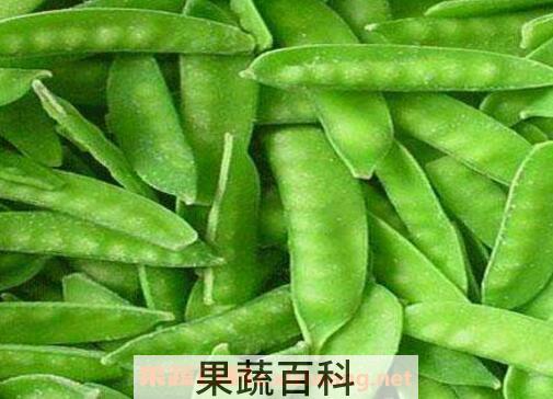 扁豆和荷兰豆的区别