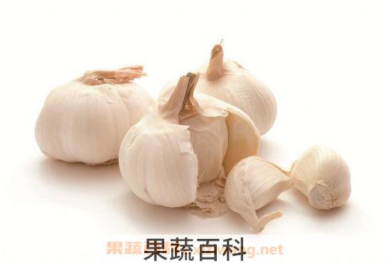 大蒜的好处