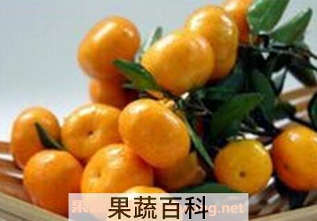 桔皮核的功效与作用