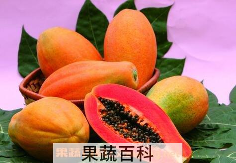 木瓜的功效与作用 木瓜的食用方法