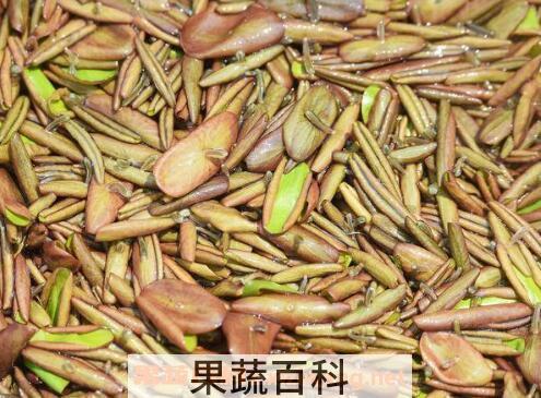新鲜的莼菜怎么洗 新鲜的莼菜怎样保存