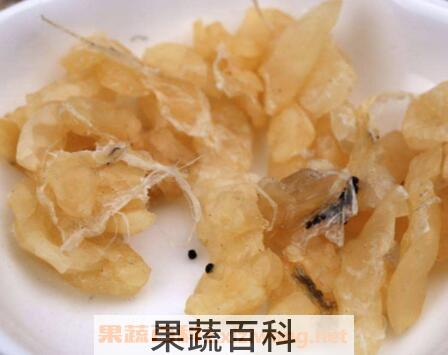 雪蛤的功效与作用 血蛤哪些人不能吃