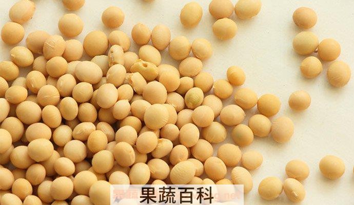黄豆的营养价值