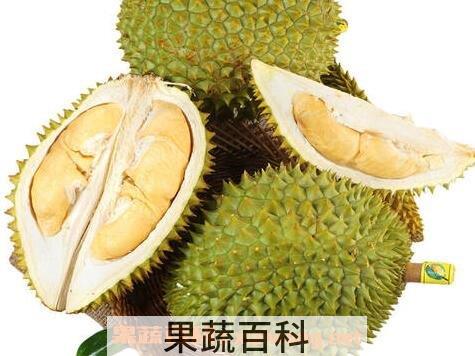 榴莲怎么吃 榴莲怎么吃好