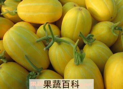 洋香瓜的功效