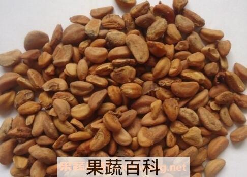 山楂核的功效与作用