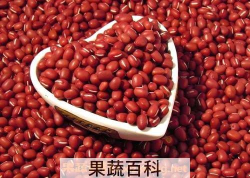 红豆有哪些功效