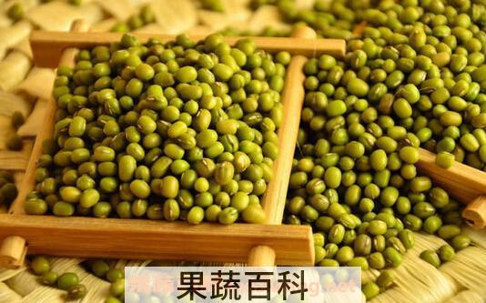 绿豆