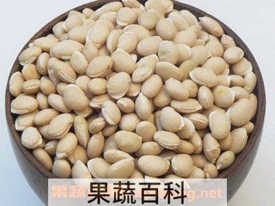 炒白扁豆作用和功效