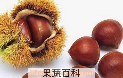 板栗壳的功效与作用
