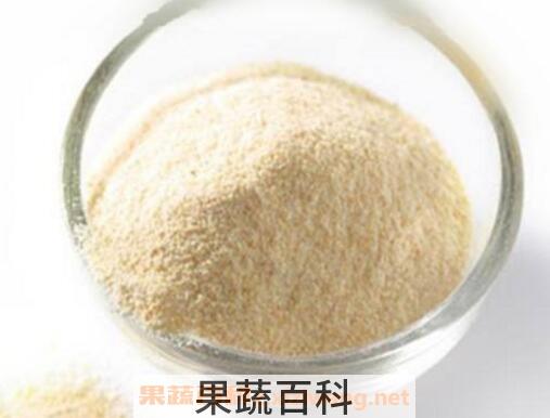 大蒜粉怎么用 大蒜粉的制作方法