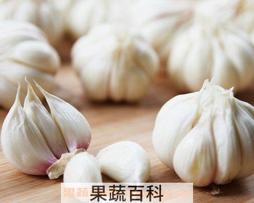 大蒜的功效与作用