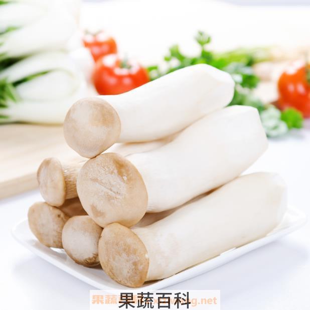 食用杏鲍菇注意事项