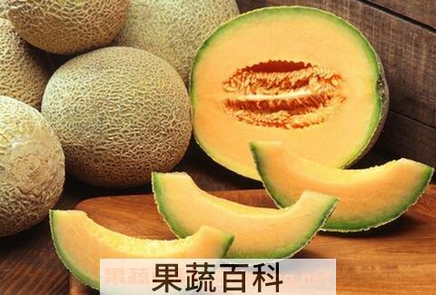 哈蜜瓜的功效与作用及营养价值