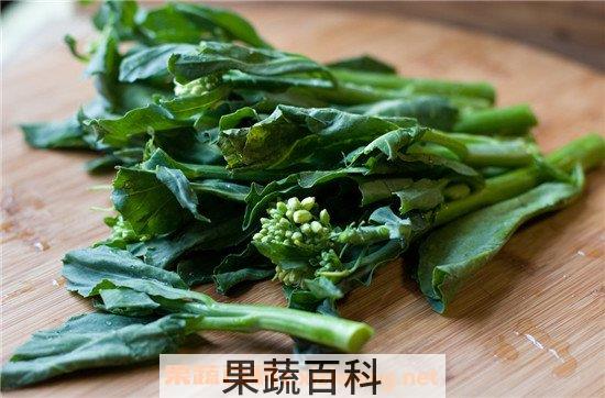 芥蓝的营养价值