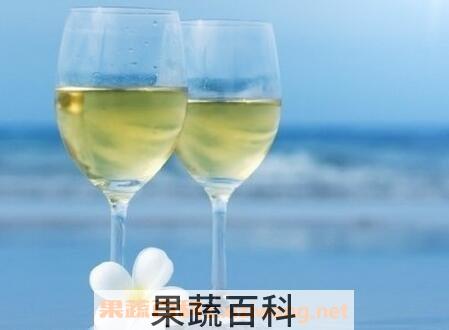 白葡萄酒怎么喝 白葡萄酒的喝法技巧