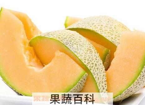 哈蜜瓜不能和什么一起吃