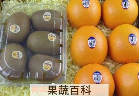 奇异果加橙有什么功效与作用