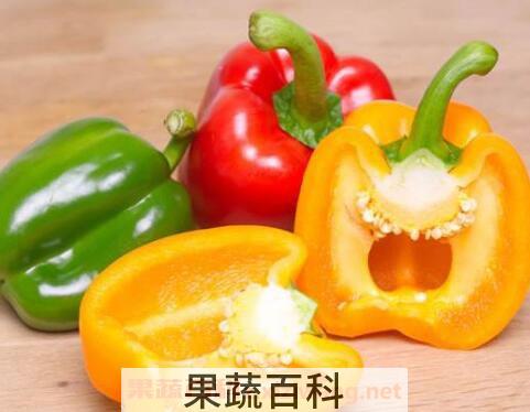 灯笼椒怎么炒 灯笼椒怎么泡