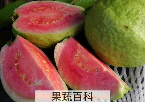 红色芭乐的功效与作用
