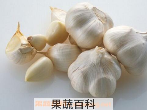 大蒜怎么剥皮最快 如何快速剥蒜又多又快