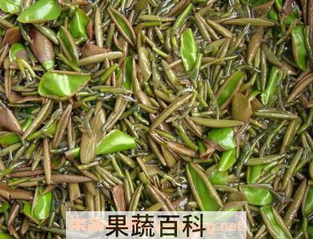怎样挑选莼菜 莼菜的营养价值
