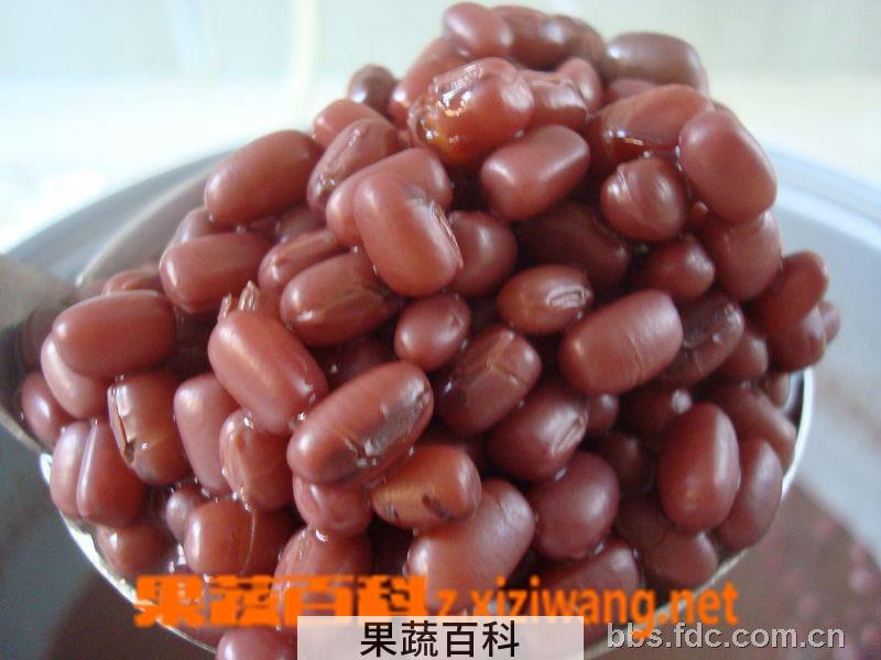 果蔬百科