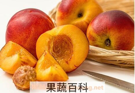油桃的功效与作用及禁忌