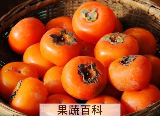 柿子怎么催熟