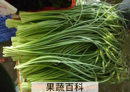 蒜苔的功效与作用 蒜苔吃多了有什么坏处