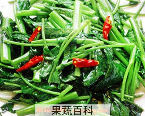 空心菜的功效与作用